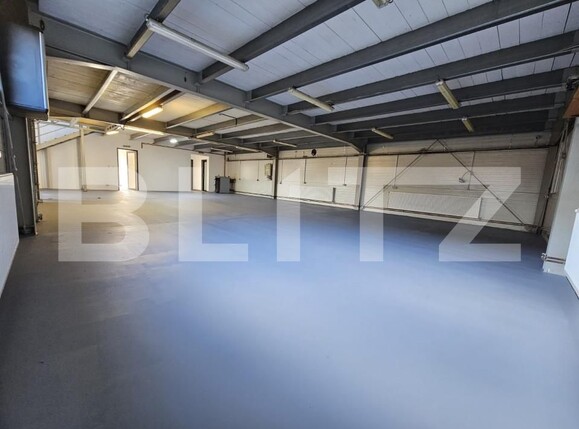 Spațiu industrial de închiriat Sud-Est - 138953SII | BLITZ Craiova | Poza7