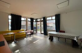 Casa batraneasca, anexa nouă + spațiu comercial, 264mp teren, Geoge Enescu