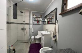 Casa batraneasca, anexa nouă + spațiu comercial, 264mp teren, Geoge Enescu