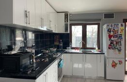 Casa batraneasca, anexa nouă + spațiu comercial, 264mp teren, Geoge Enescu