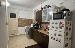 Casa renovată P+1, Rovine, vad comercial, 261 mp teren 