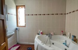 Casa renovată P+1, Rovine, vad comercial, 261 mp teren 