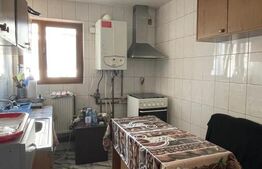 Casa renovată P+1, Rovine, vad comercial, 261 mp teren 