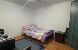 Casa renovată P+1, Rovine, vad comercial, 261 mp teren 