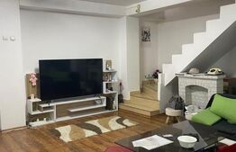 Casa renovată P+1, Rovine, vad comercial, 261 mp teren 