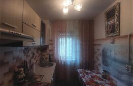Apartament 2 camere, 42mp, zona Craiovita Noua