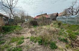 Casa 41 mp utili cu 247mp teren in Brestei