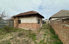 Casa 41 mp utili cu 247mp teren in Brestei