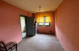 Casa 41 mp utili cu 247mp teren in Brestei