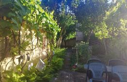 Proprietate, 5 camere, 150mp utili 327mp de teren ,  zona Liceului Traian Vuia