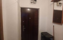 Garsoniera, 24mp, zona Restaurant Intim