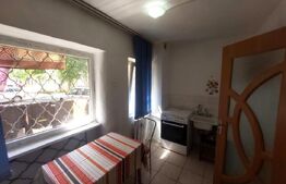 Garsoniera, 24mp, zona Restaurant Intim