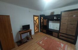 Garsoniera, 24mp, zona Restaurant Intim