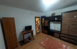 Garsoniera, 24mp, zona Restaurant Intim