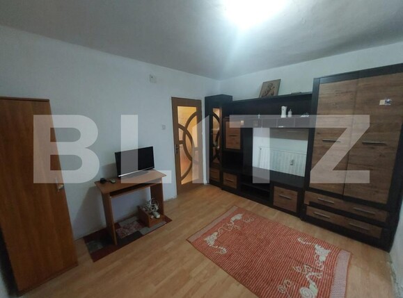 Garsonieră de vânzare Lapus Arges - 139475AV | BLITZ Craiova | Poza2