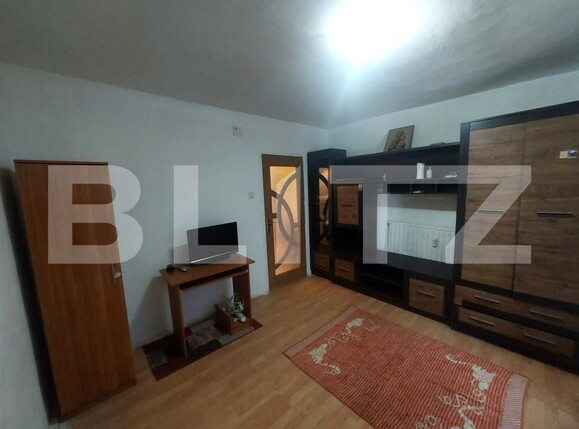 Garsonieră de vânzare Lapus Arges - 139475AV | BLITZ Craiova | Poza4