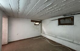 Casă S + P + M de 153 mp utili, cu 225 mp teren, în spatele parcului Romanescu