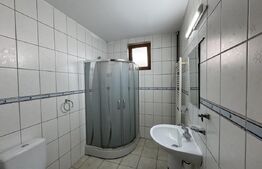 Casă S + P + M de 153 mp utili, cu 225 mp teren, în spatele parcului Romanescu