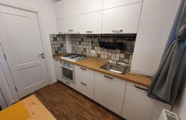 Apartament cu 2 camere, 45mp, zona Institut