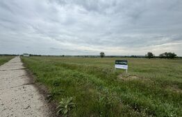 Teren extravilan de 14100 mp, zona Jumbo