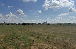 Teren extravilan de 14100 mp, zona Jumbo