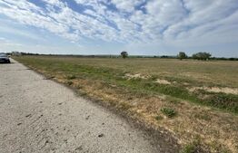 Teren extravilan de 14100 mp, zona Jumbo