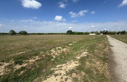 Teren extravilan de 16600 mp, zona Jumbo