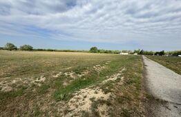 Teren extravilan de 16600 mp, zona Jumbo