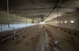 Spațiu industrial, 28.100mp, zona Bucovăț