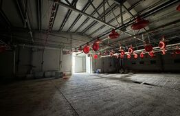 Spațiu industrial, 28.100mp, zona Bucovăț