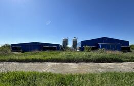 Spațiu industrial, 28.100mp, zona Bucovăț