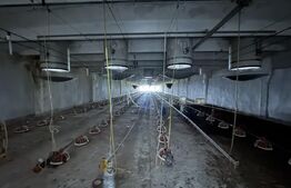 Spațiu industrial, 28.100mp, zona Bucovăț