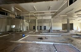 Spațiu industrial, 28.100mp, zona Bucovăț