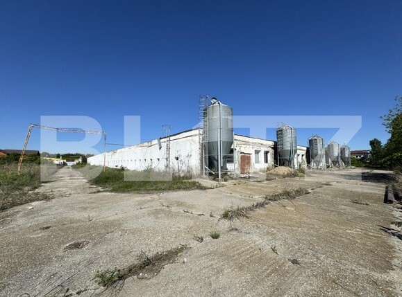 Spațiu industrial de vânzare Bucovat - 139984SVI | BLITZ Craiova | Poza8