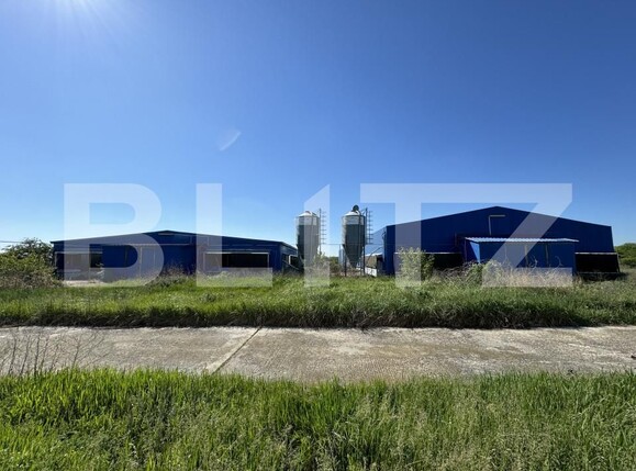 Spațiu industrial de vânzare Bucovat - 139984SVI | BLITZ Craiova | Poza7