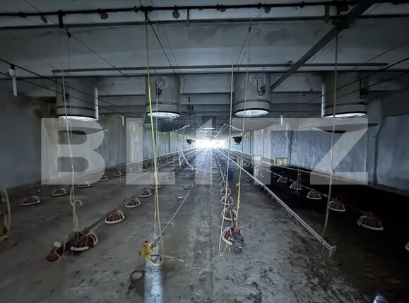 Spațiu industrial de vânzare Bucovat - 139984SVI | BLITZ Craiova | Poza2