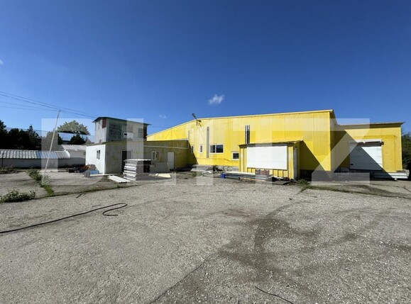 Spațiu industrial de vânzare Bucovat - 139984SVI | BLITZ Craiova | Poza11