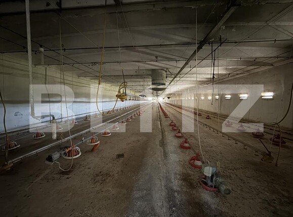 Spațiu industrial de vânzare Bucovat - 139984SVI | BLITZ Craiova | Poza3