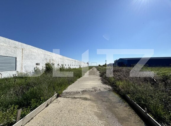 Spațiu industrial de vânzare Bucovat - 139984SVI | BLITZ Craiova | Poza6