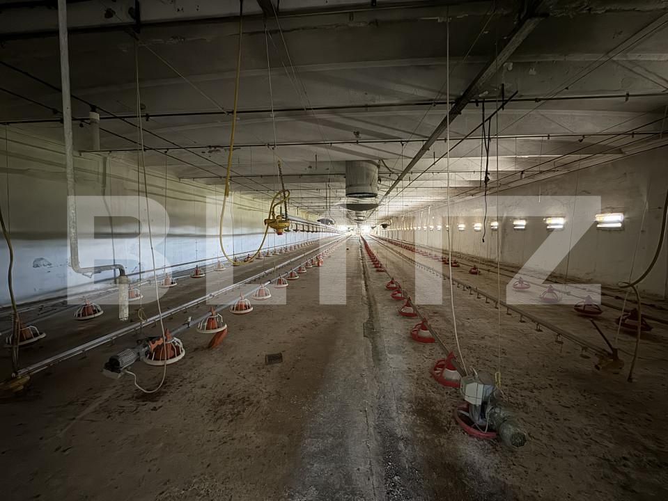 Spațiu industrial de vânzare Bucovat - 139984SVI | BLITZ Craiova | Poza3