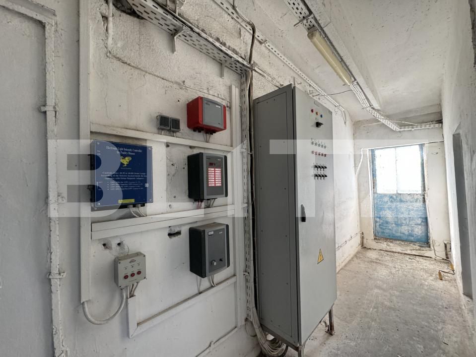 Spațiu industrial de vânzare Bucovat - 139984SVI | BLITZ Craiova | Poza5