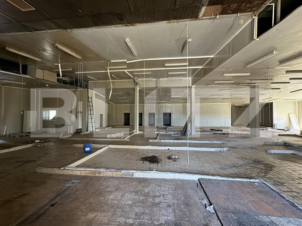 Spațiu industrial de vânzare Bucovat - 139984SVI | BLITZ Craiova | Poza13
