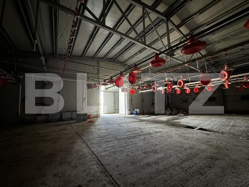 Spațiu industrial de vânzare Bucovat - 139984SVI | BLITZ Craiova | Poza4