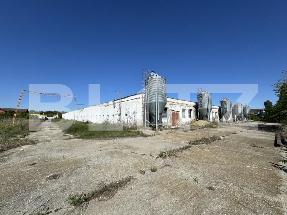 Spațiu industrial de vânzare Bucovat - 139984SVI | BLITZ Craiova | Poza8