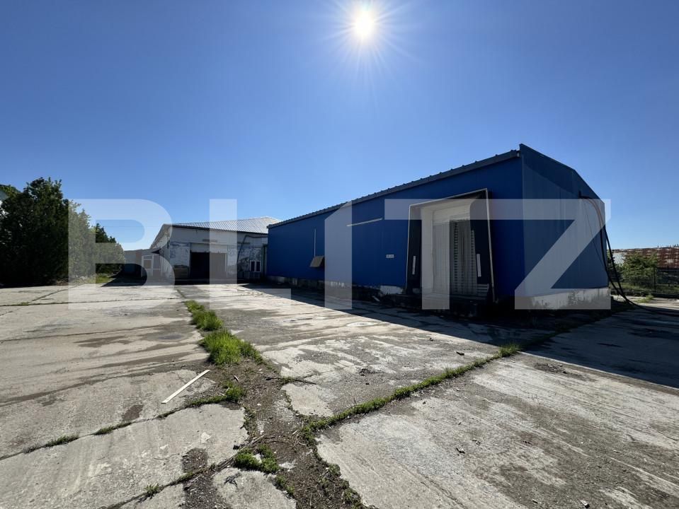 Spațiu industrial de vânzare Bucovat - 139984SVI | BLITZ Craiova | Poza10