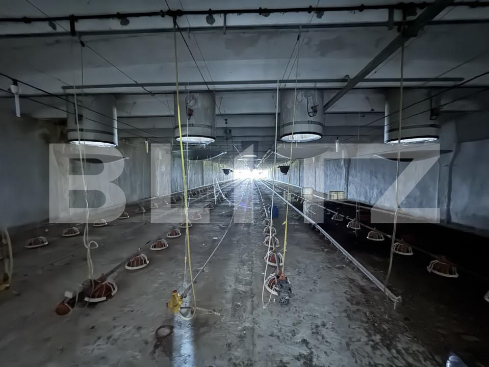 Spațiu industrial de vânzare Bucovat - 139984SVI | BLITZ Craiova | Poza2