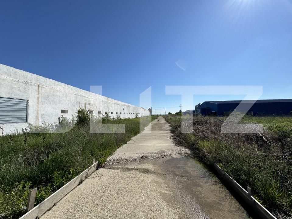 Spațiu industrial de vânzare Bucovat - 139984SVI | BLITZ Craiova | Poza6