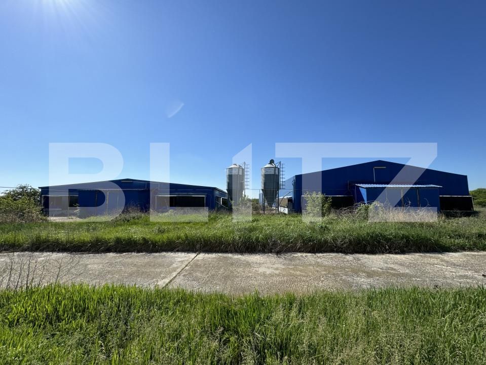 Spațiu industrial de vânzare Bucovat - 139984SVI | BLITZ Craiova | Poza7