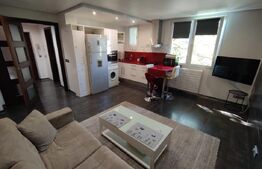 Apartament deosebit cu 2 camere, zona Petre Ispirescu