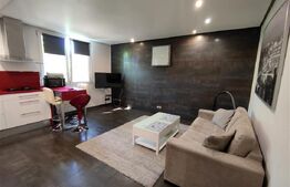 Apartament deosebit cu 2 camere, zona Petre Ispirescu